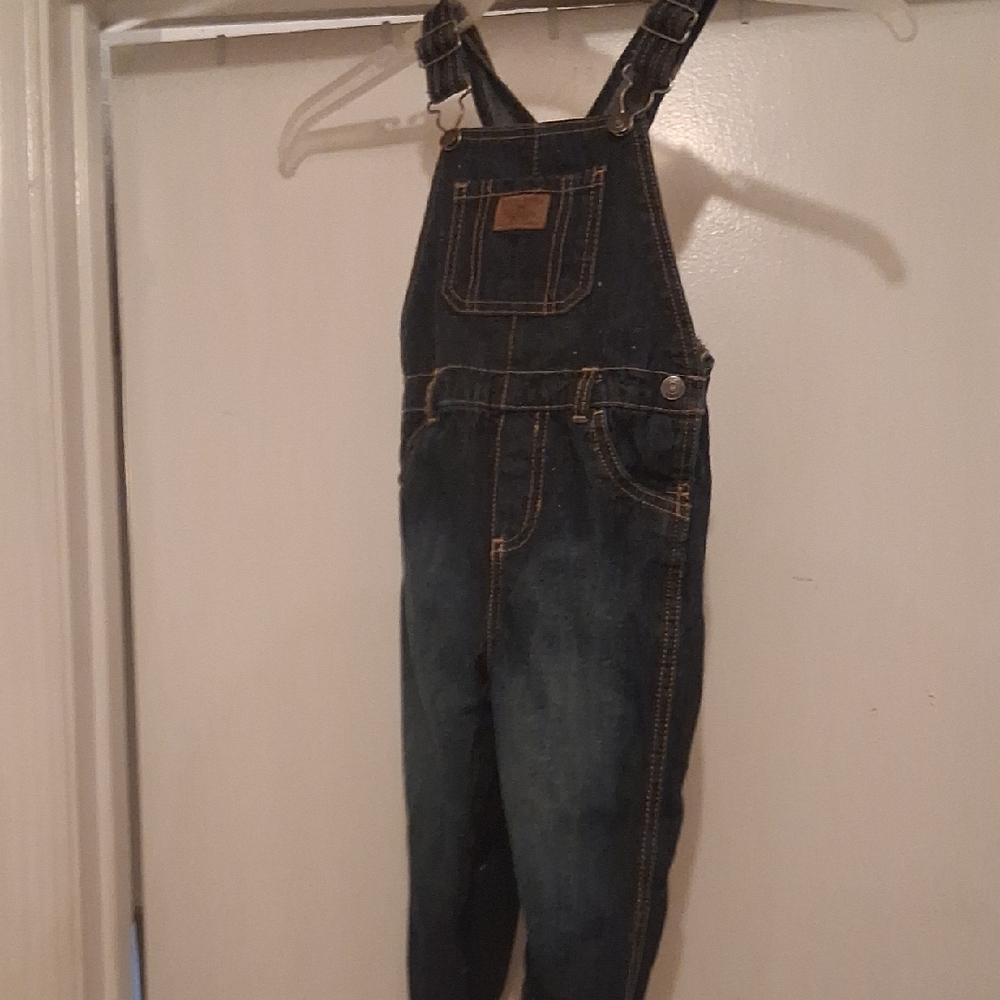Champion Kids Denim Overalls